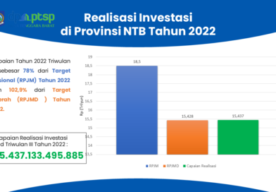 Capaian Realisasi Investasi Tahun 2022 Triwulan I s/d III